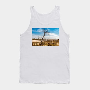 Lake Hardy 02 Tank Top